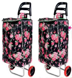 Shopping Trolley Assorted
