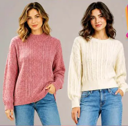 Women's Sweatshirt Assorted