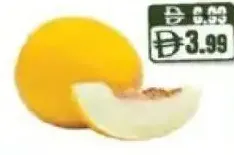 Sarda Melon