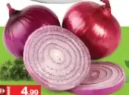 Onion Red