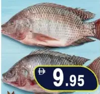 Telapia