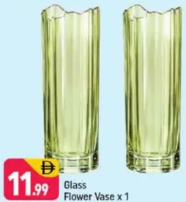 Glass Flower Vase