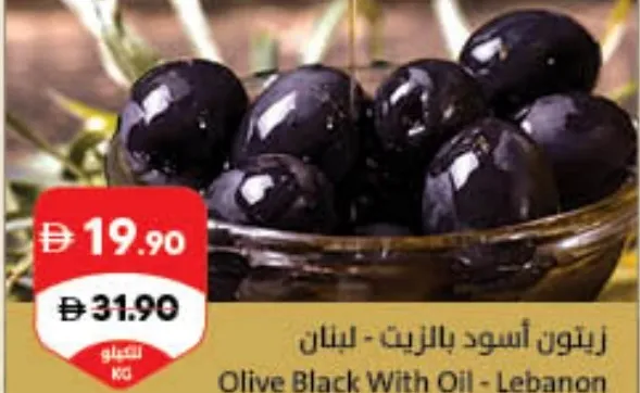 Olive Black With Oil - Lebanon