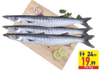 عقام