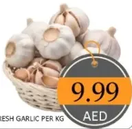 ثوم طازج
