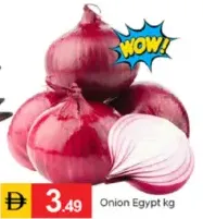 Onion Egypt