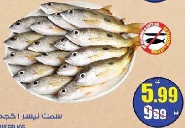 Niser