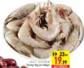 Shrimps Big