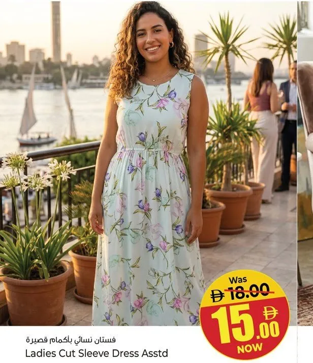 Ladies Cut Sleeve Dress Assorted