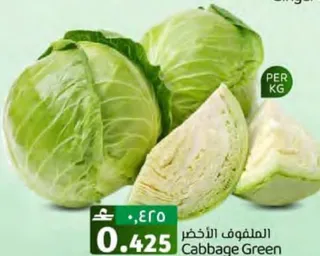 الملفوف الأخضر