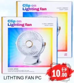 Lithting Fan