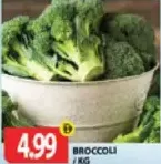 Broccoli
