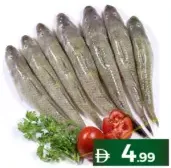 سمك ماكارونا طازج