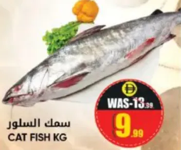 سمك السلور