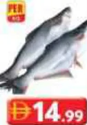 Fresh Panglish Fish