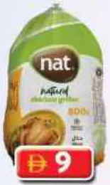 nat. دجاج