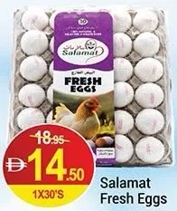 Salamat Fresh Eggs
