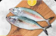 Mackerel Fish (Ayala)