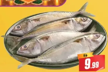 Ayala (Mackerel) Fish