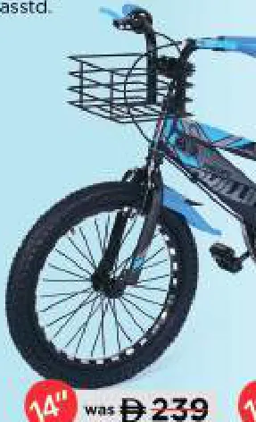 Bicycle Assorted