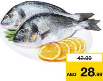 سمك دنيس محلي لكل kg