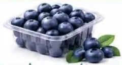 Blueberries South Africa