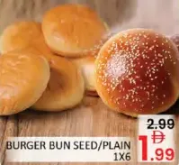 Burger Bun Seed/Plain