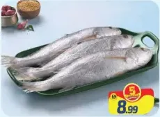Silver Kora Fish