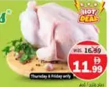 دجاج طازج