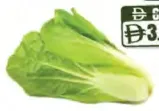 Lettuce Romain