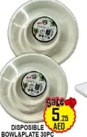 Disposible Bowl & Plate