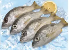 Fresh Naiser