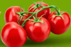 Tomato Bunch Local Iran