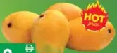 Mango Egypt