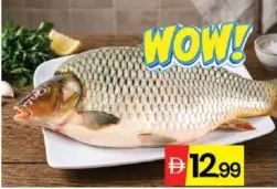 Catla Fish