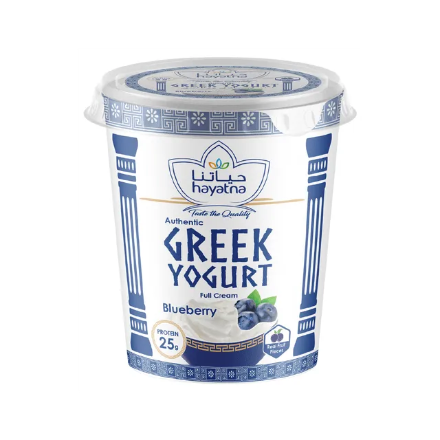 Hayatna Greek Yogurt Blueberry Fat Free
