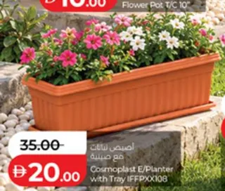 Cosmoplast E/Planter With Tray Iffpx0108