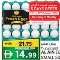 Al Ain Egg Small