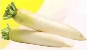 Radish White