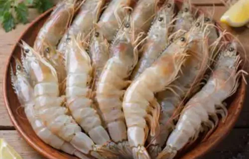 Fresh Shrimps 30/40