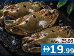 Crab