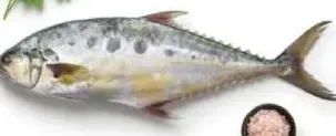 Basar