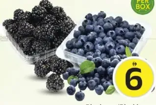 Blueberry/Blackberry