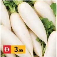فجل