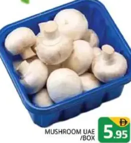 Mushroom