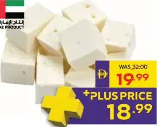 Paneer Cheese