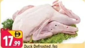 بط