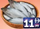 سمك حليب صغير