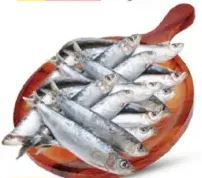Sardines Big