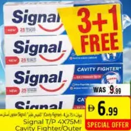 Signal Cavity Fighter Toothpaste